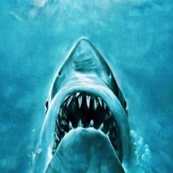 Meet your Posher, Neerukonda - Picture 1 of 1